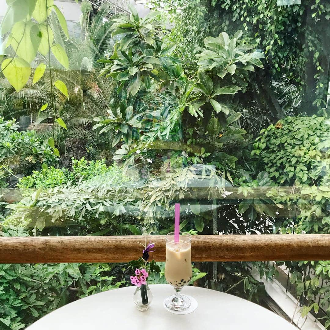 平野紗季子さんのインスタグラム写真 - (平野紗季子Instagram)「いい喫茶室見つけたと思う  東南アジアの熱帯植物園だからメニューにタピオカミルクティをチョイスしましたという結びつきのゆるさ🐚 激甘🐚」5月6日 11時41分 - sakikohirano
