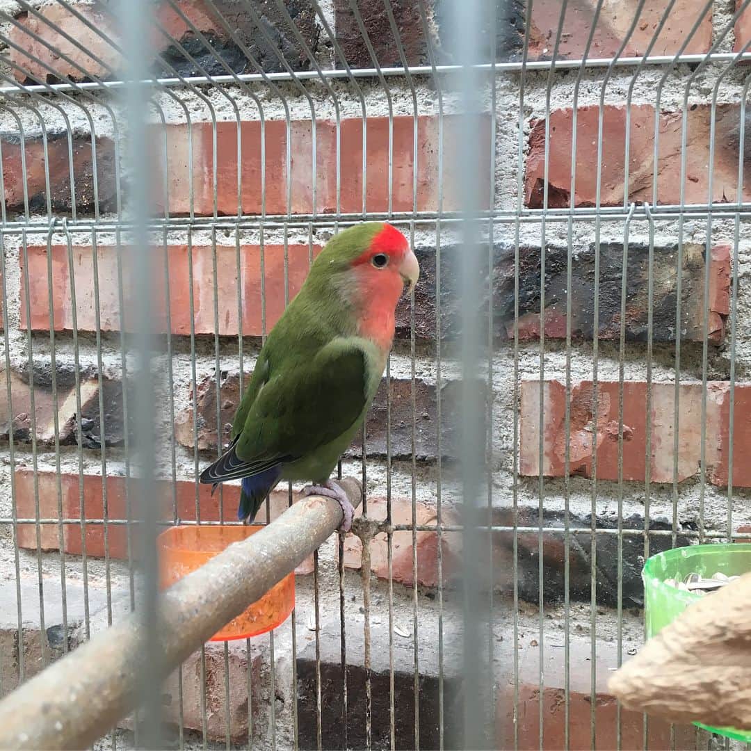 青山有紀のグルメインスタ