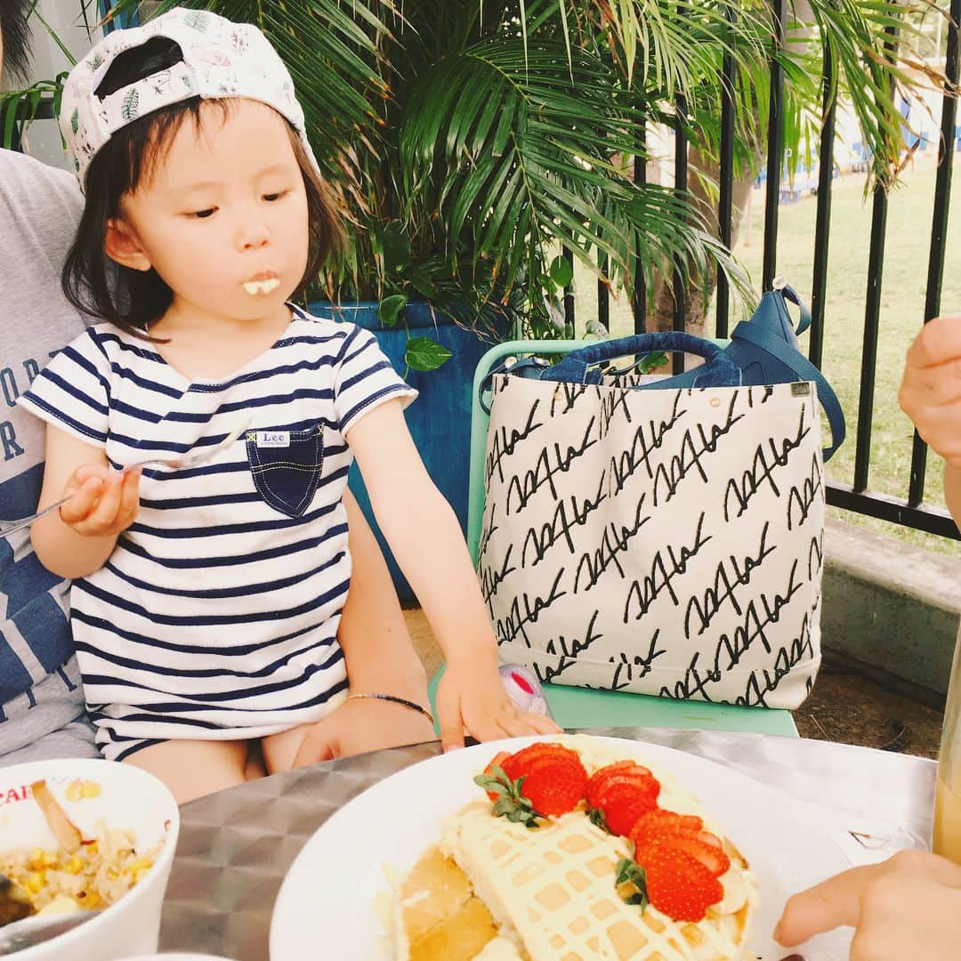 神谷美伽さんのインスタグラム写真 - (神谷美伽Instagram)「子どもが2人になってからは初めての海外旅行に挑戦中😚BABYに優しいハワイへ🏝今日はホテルのプールでのんびりして、ハワイ通のお友達に教えてもらったボガーツカフェへ✨とっても美味しくて幸せでした♡♡♡周りにおしゃれなカフェがいっぱいあったなぁ⭐️⭐︎ #ハワイ旅行 #子連れハワイ#カフェ巡りしたい#ボガーツカフェ#アサイーボウル #パンケーキ#ママズフライライス#姉妹#姉妹ママ  ゆきちゃん、ありがとう😚」5月6日 14時21分 - mikakamiya14