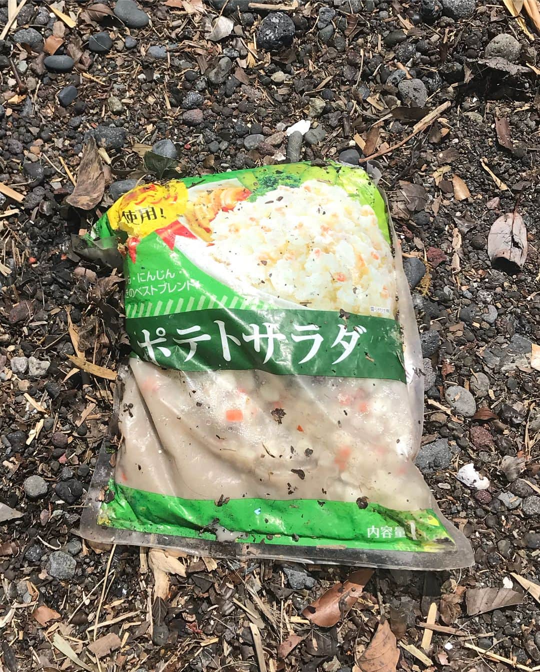 白井鉄也さんのインスタグラム写真 - (白井鉄也Instagram)「ポテトサラダの落し物っす！  #ポテトサラダ #potatosalad #ポテト #potato #サラダ #salad #Japanese #沼津 #numazu #我入道 #我入道海岸 #ganyudoubeach #beach #シュール落し物 #Surrealism #落し物シリーズ #シリーズ #series #落し物 #lost #me #tbt #love #cute #instlike #instgood」5月6日 14時24分 - shiraichimon