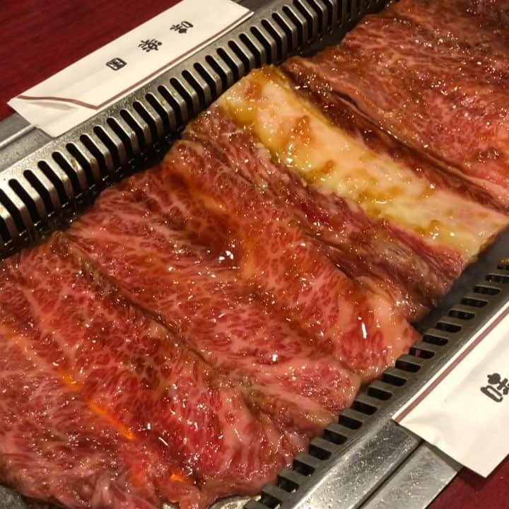 ほねつきかるべのインスタグラム：「・🍖 【味楽園】さんにて『骨付特上カルビ』。鉄板いっぱいのジャンボ骨付きカルビ！熟練の技でチョキチョキカットしてくれます✨ #尼崎#出屋敷#味楽園 #焼肉#焼肉部#動き出したメモリー #骨付特上カルビ  #ナイストゥミートジュージュージュー」