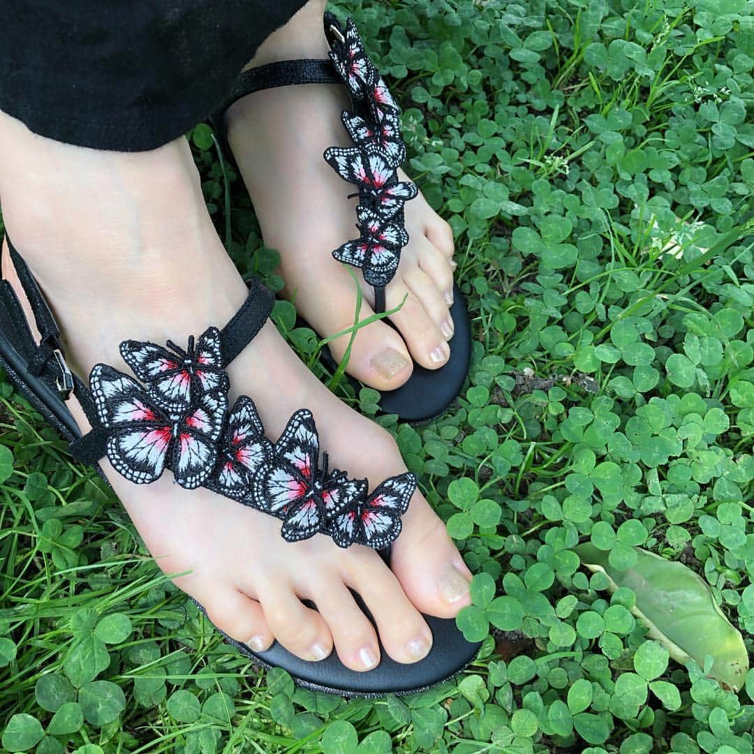 街子さんのインスタグラム写真 - (街子Instagram)「蝶が集まるファンタジックなサンダル。 履くと絵本の中に迷い込んだような錯覚を起こす。たまには人目を気にせず、自分を楽しませる為だけの靴があっても良い。」5月7日 0時50分 - machiko801