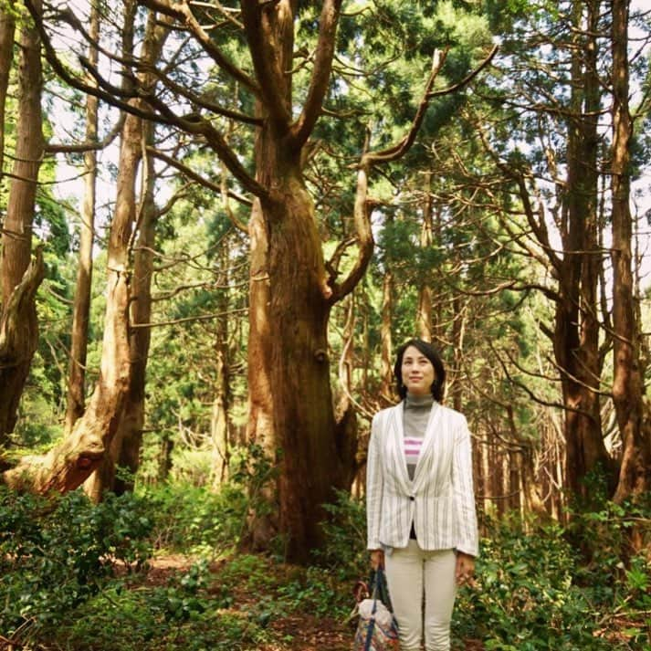 岩山立子のインスタグラム