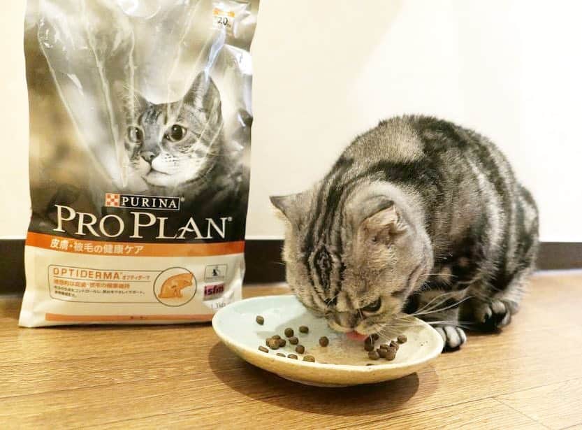 Purina Pro Plan Japanのインスタグラム
