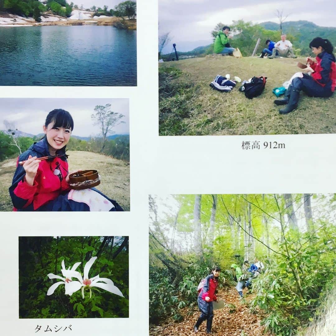石橋里紗のインスタグラム：「． 明日18︰15～の「スーパーJにいがた」にて 放送予定の特集、 標高1000メートルのブナ林を歩いた、 “新緑と残雪のブナ林を歩く”。 ･ 現地でガイドを務めてくださった小口さんから、写真が届きました！！ ･ ･ ･ あすはスタジオにてこの時期のブナ林の魅力もお伝えします ･ ブナ林の自然の美しさはもちろん、ブナ林からのぞめる絶景も堪能できるトレッキングでした ･ #スーパーJにいがた #松之山 #トレッキング #ブナ #絶景スポット  #アナウンサー #新潟」