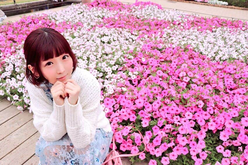 佐倉絆さんのインスタグラム写真 - (佐倉絆Instagram)「帰省🌷🌸🌹🌺🌻🌼 #あしフラ  #愛する地元  #藤アイス不思議な味 #薔薇が満開  #藤は終わりかけ」5月8日 0時18分 - kizunasakura