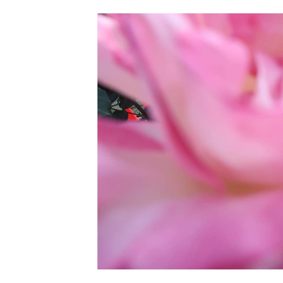 花盛友里のインスタグラム