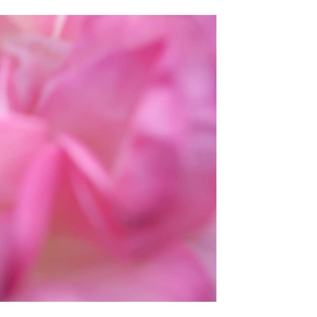 花盛友里のインスタグラム