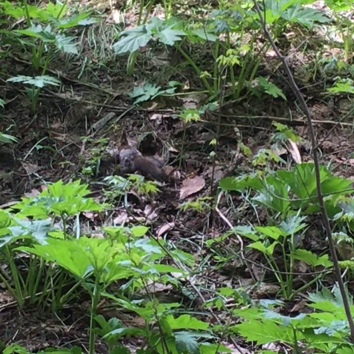 菊地友弘のインスタグラム