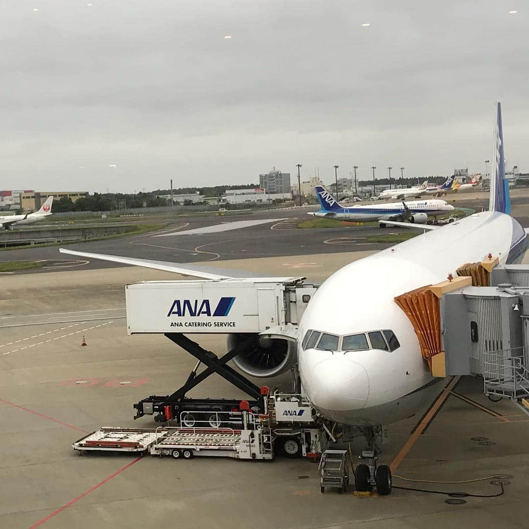 越川優さんのインスタグラム写真 - (越川優Instagram)「成田空港に帰って来ました‼️ が、入国せずに、このままタイのバンコクに行って来ます‼️ アメリカで感じた気持ちを、しっかりタイのワールドツアーにぶつけて、戦ってきます‼️ #横浜メディカルグループ  #ymg  #hrdエンジニア株式会社  #加賀電子株式会社  #株式会社朋栄社  #和興通信工業株式会社  #株式会社かとり  #株式会社duke #エルバランスアイズ  #株式会社pianola  #株式会社ドリームオンライン  #gallery2  #claudiopandiani  #volleyballjunky #西村晃一  #越川優  #yukoshikawa  #beachvolleyball  #ビーチバレー  #tokyo2020  #fivb  #worldtour  #teamjapan」5月8日 16時07分 - yu_koshikawa