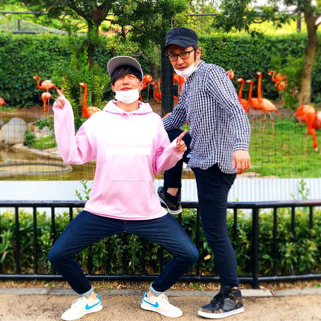 田中シングルさんのインスタグラム写真 - (田中シングルInstagram)「まちゃさんと動物園 まこさんにカット 湊先生に矯正 ありがとうございました！ 吉本坂46の動画投票して下さった方ありがとうございます！5/15まで1日1票引き続きよろしくお願い申し上げます！  #上野動物園 #フラミンゴがめちゃくちゃええ色 #ラッスンカラー #ゴレライピンク #マコさんカット #tiabyrisel #これがいわゆるええ感じ #歯列矯正始まりました #マウスピース矯正ってやつ #これ素晴らしい #素晴らしいホント #purerio #ピュアリオ #ピュアリオブライトホワイト東京 #ピュアリオ審美矯正歯科  #吉本坂46  #15秒動画 #投票よろしくお願いしまっすん #プロフィールから飛べまっすん #1日1票お願いしまっすん」5月10日 19時43分 - 8.6shin