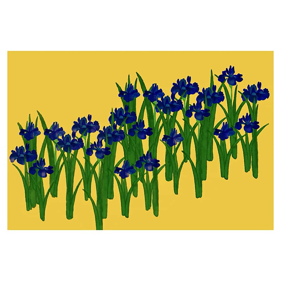 古谷有美さんのインスタグラム写真 - (古谷有美Instagram)「☔️ 初めてみた燕子花図屏風...荘厳！ こりゃ描かずにはいられない😹 文献みながら描き描き。 どうでしょう、金屏風っぽくみえますか？ ・ ・ 展覧会は今週末までのようですが この展示に合わせて 庭園のカキツバタと春もみじ(かな？)も見頃です。 雨にぬれ、いとをかし。 ・ ・ #尾形光琳#尾形乾山 #根津美術館#nezumuseum  #みんみん画伯 #月1で何かを観るルール」5月10日 13時23分 - yuumifuruya