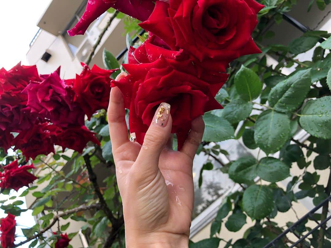 SAYAKAさんのインスタグラム写真 - (SAYAKAInstagram)「new nail🌹 大好きな薔薇 先日親が結婚25周年だったので大好きな薔薇を25本プレゼントしたのー🌹 いつもありがとう🌹」5月10日 16時19分 - im_sayaka_official