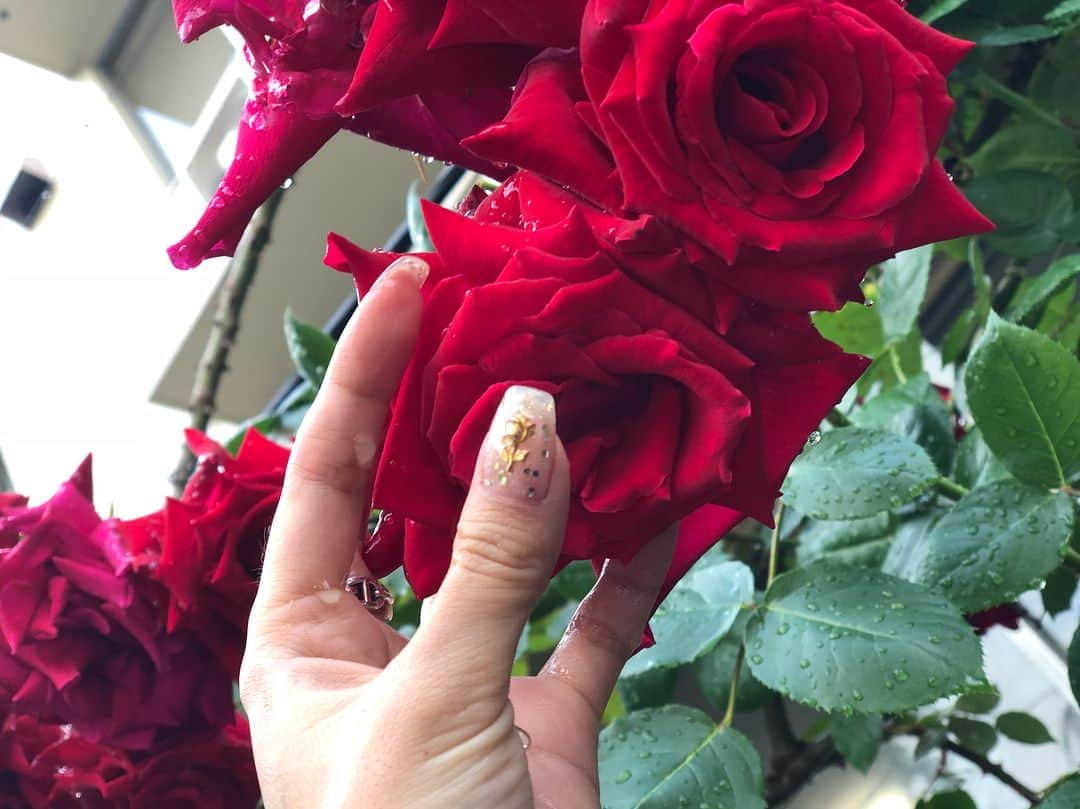 SAYAKAさんのインスタグラム写真 - (SAYAKAInstagram)「new nail🌹 大好きな薔薇 先日親が結婚25周年だったので大好きな薔薇を25本プレゼントしたのー🌹 いつもありがとう🌹」5月10日 16時19分 - im_sayaka_official