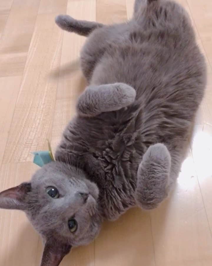 ❤?❤❤❤ Sayo ??❤?❤️❤️❤️のインスタグラム