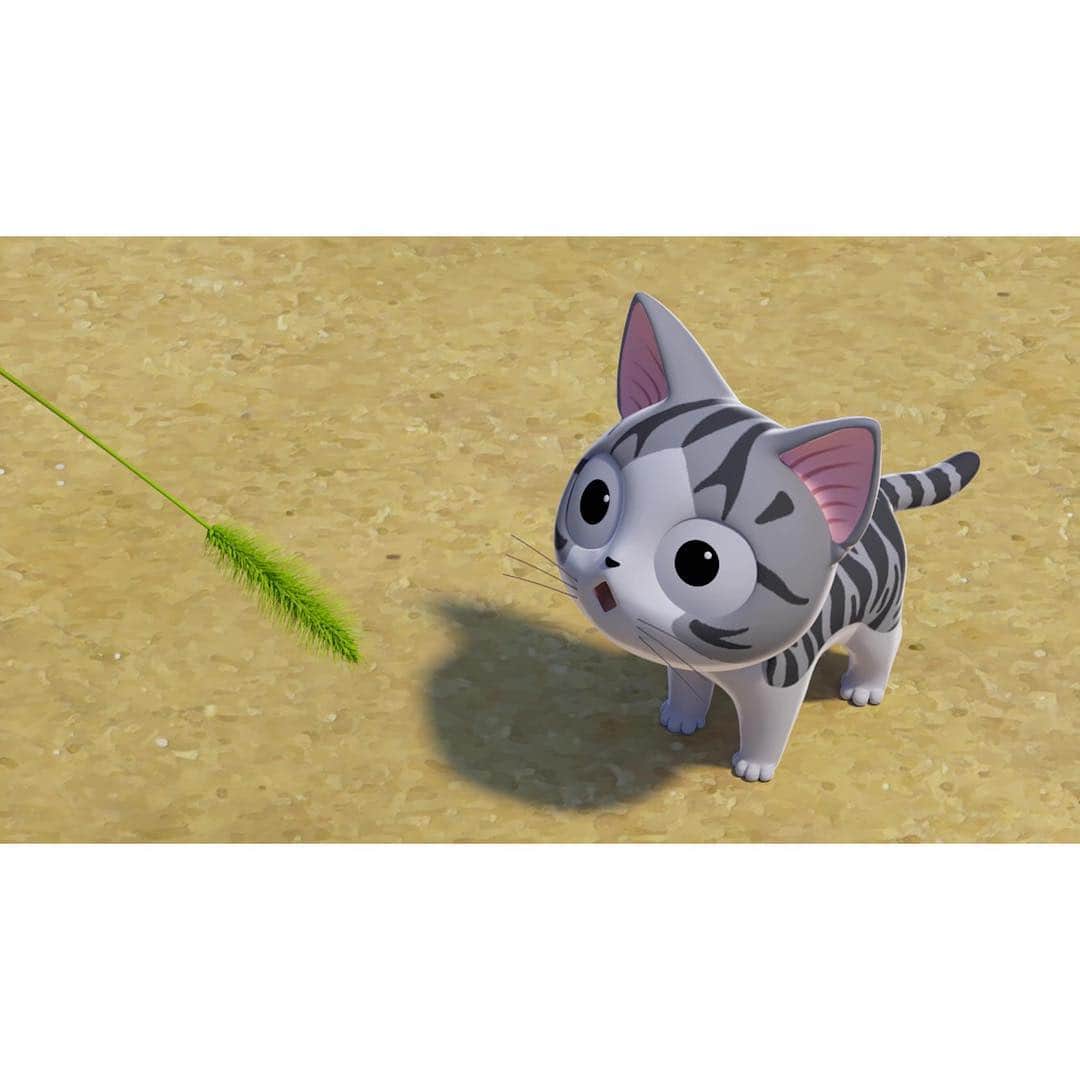Chi のインスタグラム：「【まめチーしき５】  ヨウヘイです！　みんなげんき？ ジュリちゃんがもってるねこじゃらし。どううごかすとチーとあそべるのかな？ ネズミみたいにチョロチョロさせたり、バッタみたいにピョンピョンはねさせるといいんだって。えものをつかまえるみたいによろこんであそぶんだよ。  #こねこのチー」