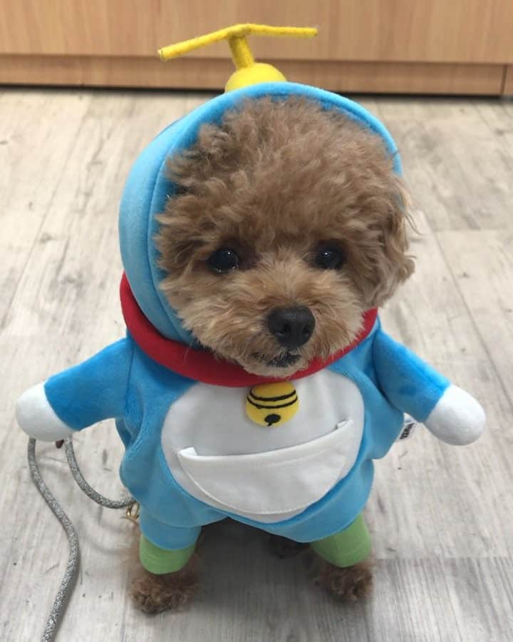 ❤︎Till❤︎のグルメインスタ