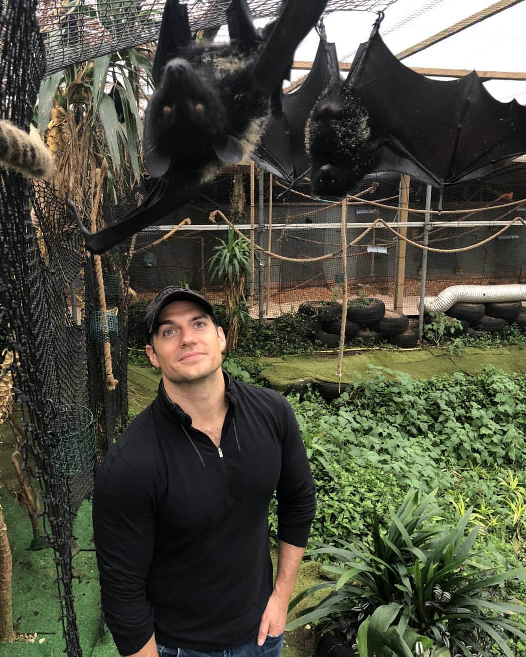 ヘンリー・カヴィルさんのインスタグラム写真 - (ヘンリー・カヴィルInstagram)「Had the pleasure to get up close and personal with some of my buddies at Jersey Zoo again today! I genuinely love being able to do this sort of stuff AND I didn't even get peed on!! Double win. @Durrell_JerseyZoo #Durrell  PS. For those who want to know, the bats are Livingstone's fruit bats and that is a ring-tailed Lemur that's cruising around on the rope behind my head.」5月13日 3時05分 - henrycavill