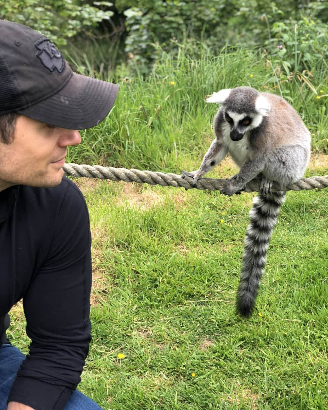 ヘンリー・カヴィルさんのインスタグラム写真 - (ヘンリー・カヴィルInstagram)「Had the pleasure to get up close and personal with some of my buddies at Jersey Zoo again today! I genuinely love being able to do this sort of stuff AND I didn't even get peed on!! Double win. @Durrell_JerseyZoo #Durrell  PS. For those who want to know, the bats are Livingstone's fruit bats and that is a ring-tailed Lemur that's cruising around on the rope behind my head.」5月13日 3時05分 - henrycavill