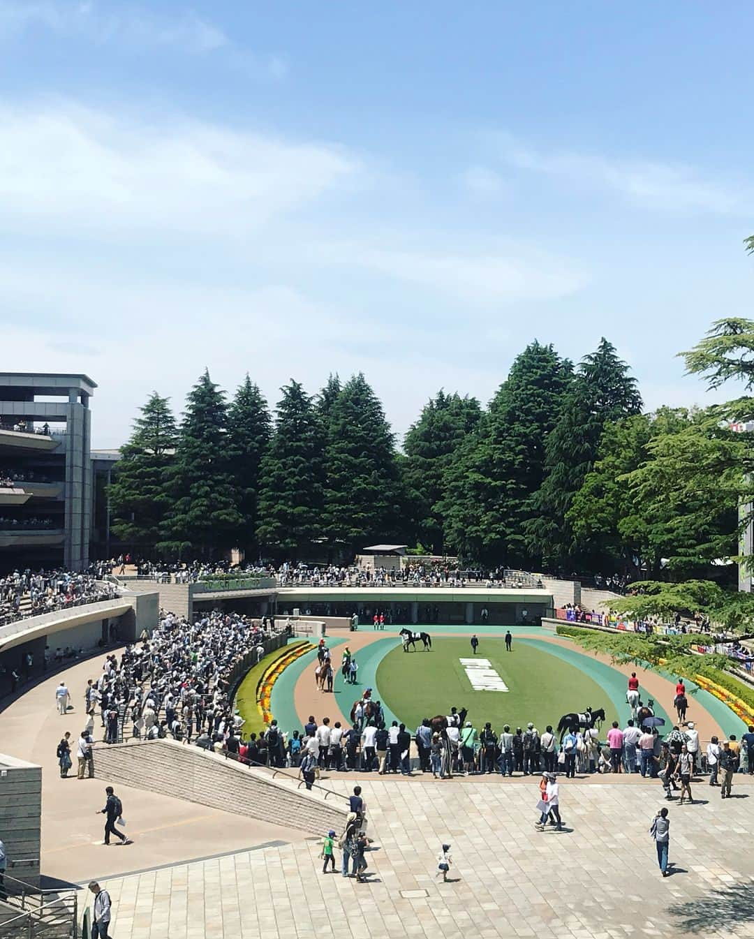 小澤陽子さんのインスタグラム写真 - (小澤陽子Instagram)「at work☻  先週の。なんでしょう？🤣✨ * NHKマイルカップの、『マイルカップ』をMCにしてみました。 (マ もやってみてました。笑) 祥子さん、付き合ってくれてありがとうございます😂💓 明日も、牝馬(女の子)限定の、GI マイル戦(1600m): ヴィクトリアマイル〜🏇‼️ 混戦ですね〜〜楽しみです😍♪ * * #おざよーの本日の人文字keiba🏇  #NHKマイルカップ  #ヴィクトリアマイル #ヘアスタイル #hairstyle #衣装 #ファッション #fashion #アナウンサー #アナウンサーヘア #アナウンサー衣装 #アナウンサーファッション #UMAJO #ウマジョ #週末はウマでしょ #みんなのKEIBA #KEIBA好きを広げたい🐴♪ * * 明日も、15:00〜中継でお伝えします❣️」5月12日 19時48分 - yoko.ozawa729