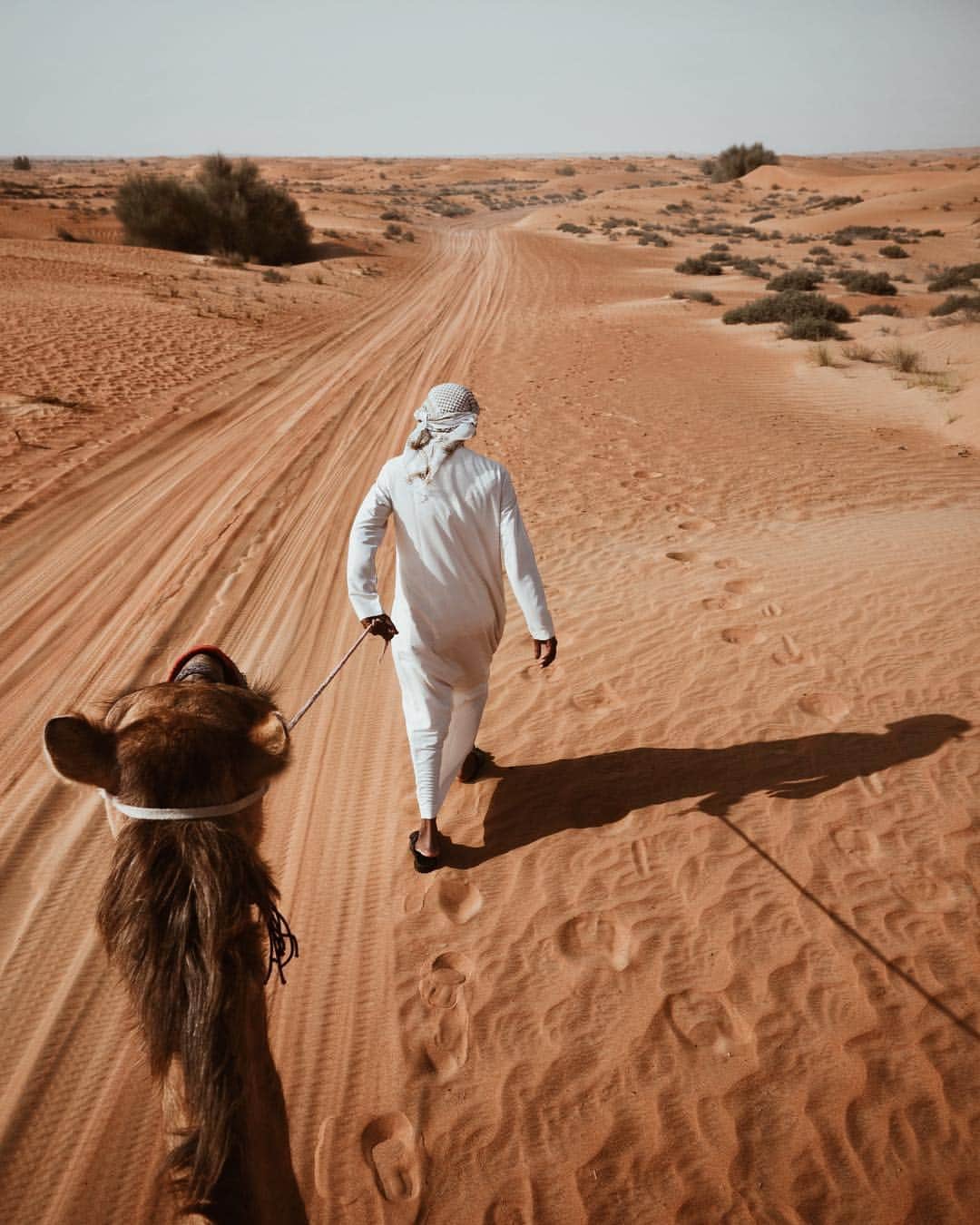 adamのインスタグラム：「morning camel rides in dubai desert 🐪 @visit.dubai #visitdubai」