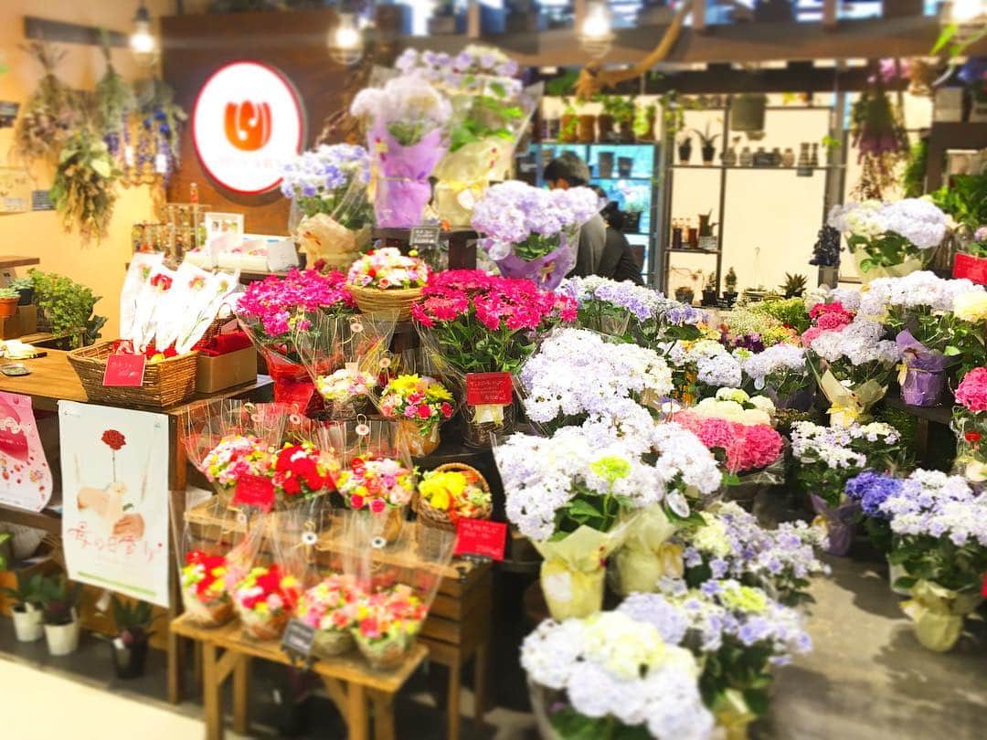 LECT レクトさんのインスタグラム写真 - (LECT レクトInstagram)「今日は母の日。フラワーショップミヤビでは本日もたくさんのギフトをご用意して、皆さまのご来店をお待ちしております。(@flowermiyabi) #lect #レクト #flowershopmiyabi #フラワーショップミヤビ #お花屋さん #花屋 #広島花屋 #フラワーショップ #母の日 #mothersday #母の日ギフト #広島 #広島市 #広島市西区商工センター」5月13日 12時11分 - lect_hiroshima
