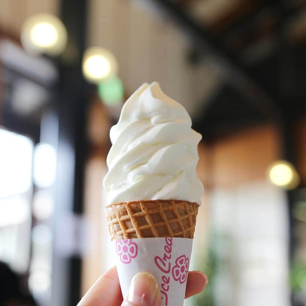 く～のグルメインスタ