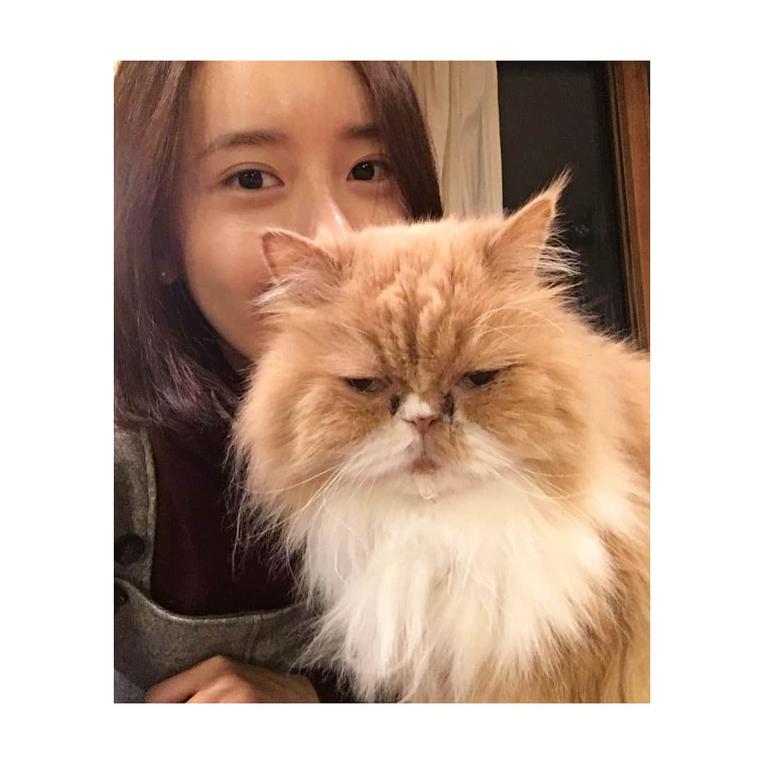 ユナさんのインスタグラム写真 - (ユナInstagram)「너무 사랑스러운 귀요미들 🐾 인사두 못하구 와서 미안해ㅠㅠ  또 다시 만나💚 #융스타그램」5月13日 22時49分 - yoona__lim