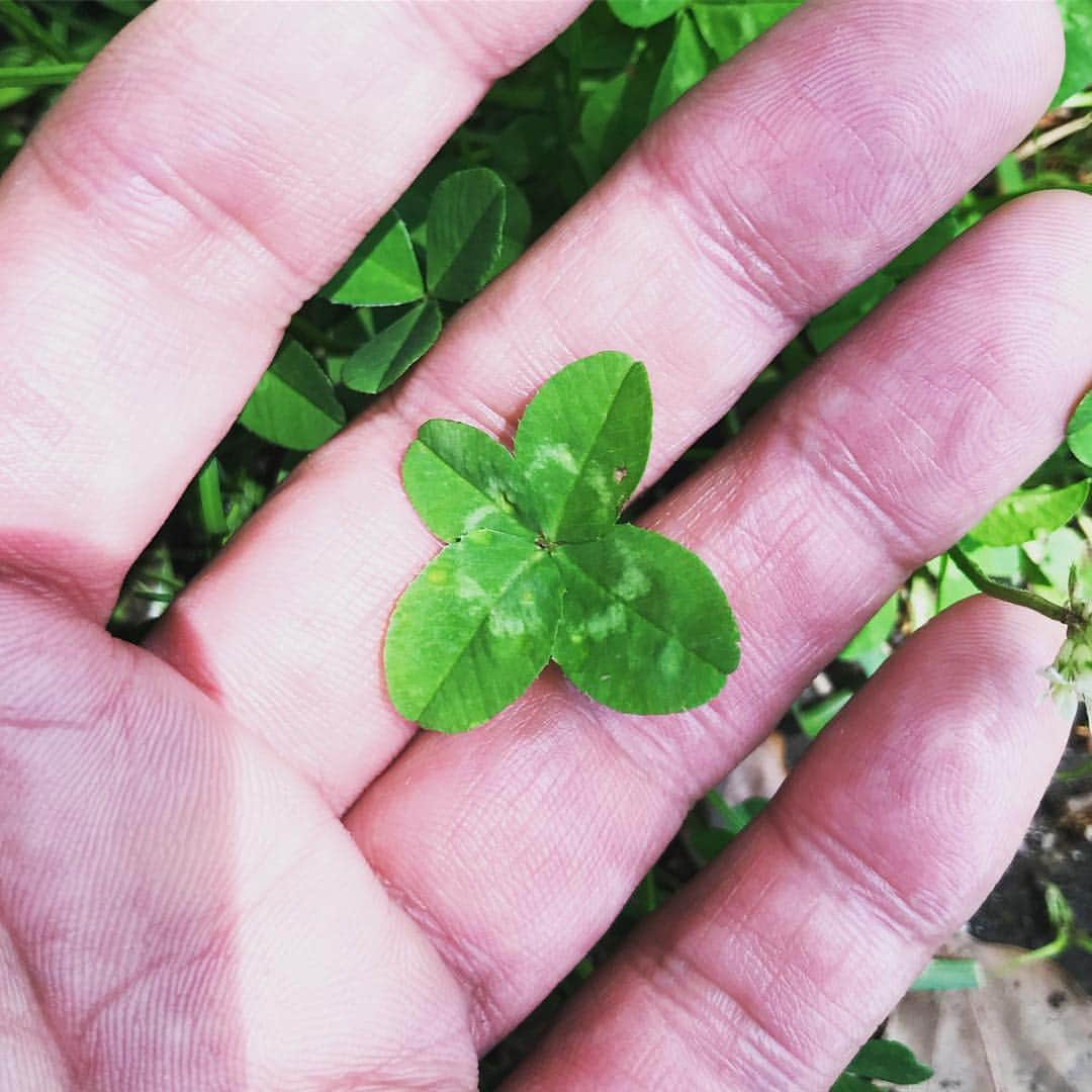 宇梶剛士のインスタグラム：「🍀 👀✨ め〜っけ♪♪♪」