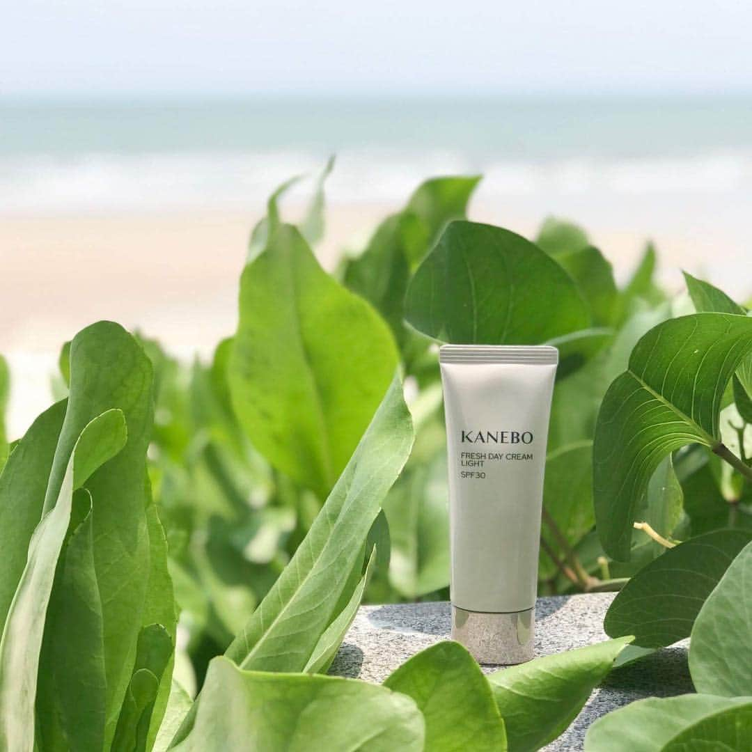 KANEBO OFFICIALさんのインスタグラム写真 - (KANEBO OFFICIALInstagram)「PROTECT YOUR BEAUTY 初夏の肌に寄り添って。 Feel the early summer breeze. #lifestyle #morning #night #skincare #cosmetics  #beautycare #beautyproduct  #beautyskin #skincareluxury #healtyskin #myfavorite #beautiful #relaxtime  #朝時間 #美容 #化粧水#ご褒美 #デパコス #使い切りスキンケア #愛用スキンケア #美肌 #スキンケア #お気に入り #時間美容 #リラックスタイム #愛用品 #癒やし #ナイトケア #kaneboglobal #kanebo」5月14日 17時39分 - kaneboofficial