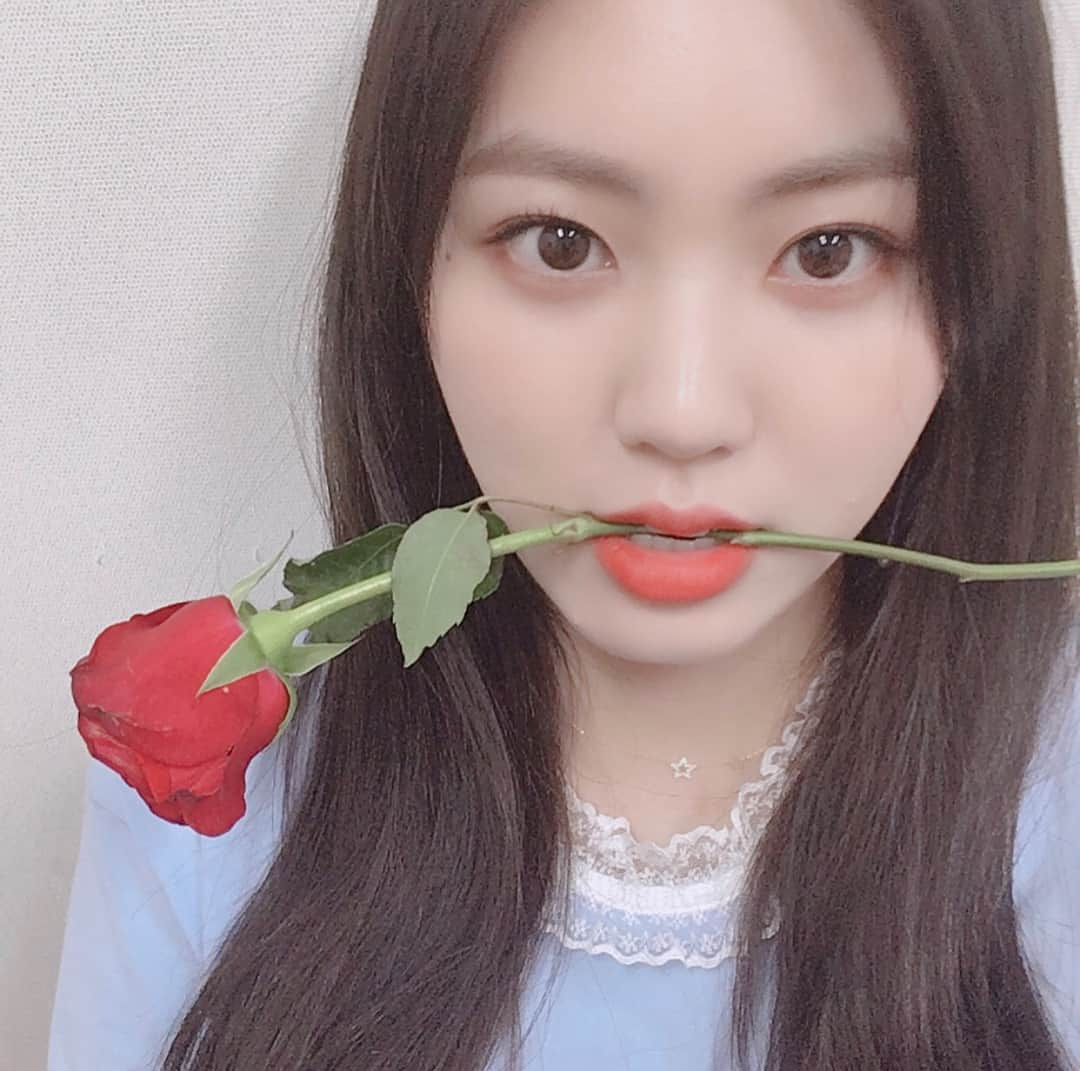 CLCさんのインスタグラム写真 - (CLCInstagram)「LOVELY ROSE DAY🌹꽃말은 열렬한 사랑! I Rose Cheshiers💋#roseday#clc#rose#칯스타그램#은빈#🌹」5月14日 21時25分 - cube_clc