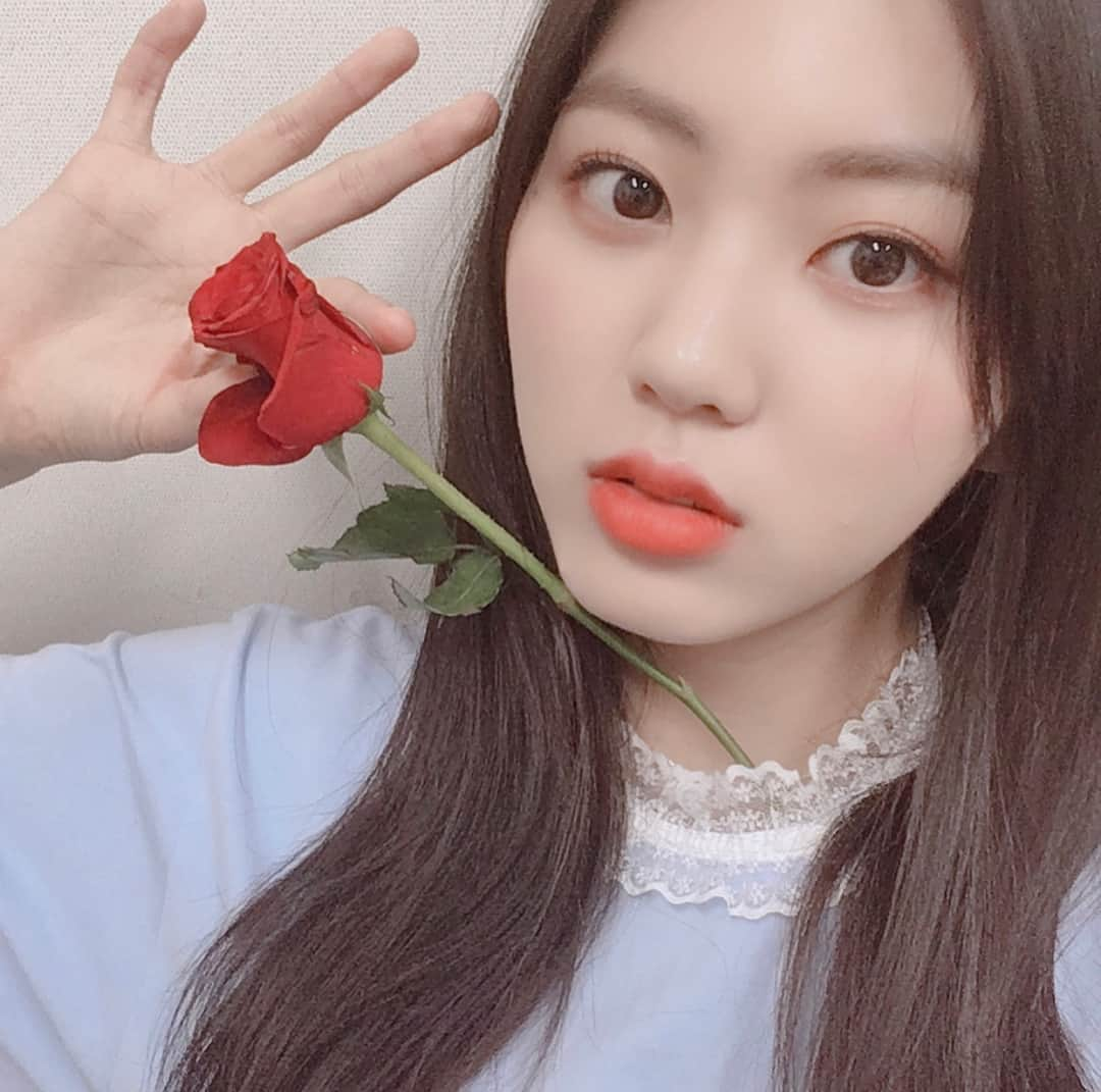 CLCさんのインスタグラム写真 - (CLCInstagram)「LOVELY ROSE DAY🌹꽃말은 열렬한 사랑! I Rose Cheshiers💋#roseday#clc#rose#칯스타그램#은빈#🌹」5月14日 21時25分 - cube_clc