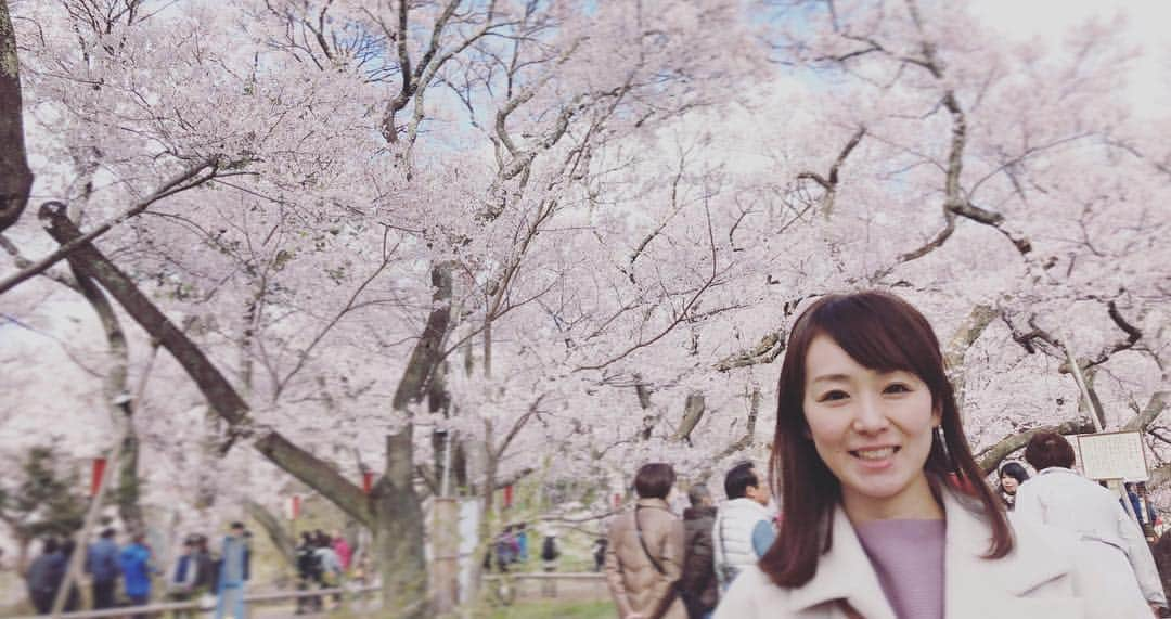 佐藤友紀さんのインスタグラム写真 - (佐藤友紀Instagram)「〈その3 〉高遠コヒガンザクラ. #お花のことを話すとw🌸 #少し小さく濃い花びらの #タカトオコヒガンザクラ #元々は #高遠藩の桜だそう！ #天下第一の桜 ✨ は、 #満開だったので #わたし咲きました！！っというような勢いがすごかった☀️☀️#360度パノラマ 💟 . . #高遠閣 #二階からの眺めが美しい #薄紅色の雲みたいーー #2018桜巡り #長野県 #伊那市 #高遠 #高遠城址公園 #桜 #桜2018 #sakura #cherryblossoms #collections #巨木巡り #春きょぼく」5月15日 10時19分 - satoyuki_627