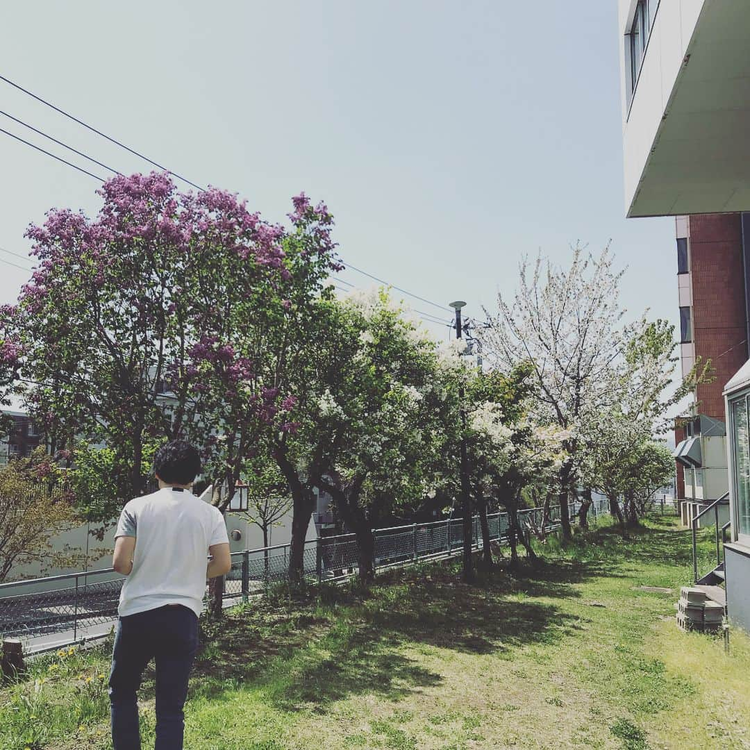 神田昭一さんのインスタグラム写真 - (神田昭一Instagram)「札幌はヤエザクラが見頃！ HTBの敷地内もお花がたくさん！ 初夏の陽気の中、 半袖で写真を撮りまくる村上予報士  #HTB #平岸高台公園 #ヤエザクラ満開 #タンポポ #ツツジ #ライラック #気象予報士 #村上公平 #神田昭一」5月15日 13時13分 - shouichi_kanda