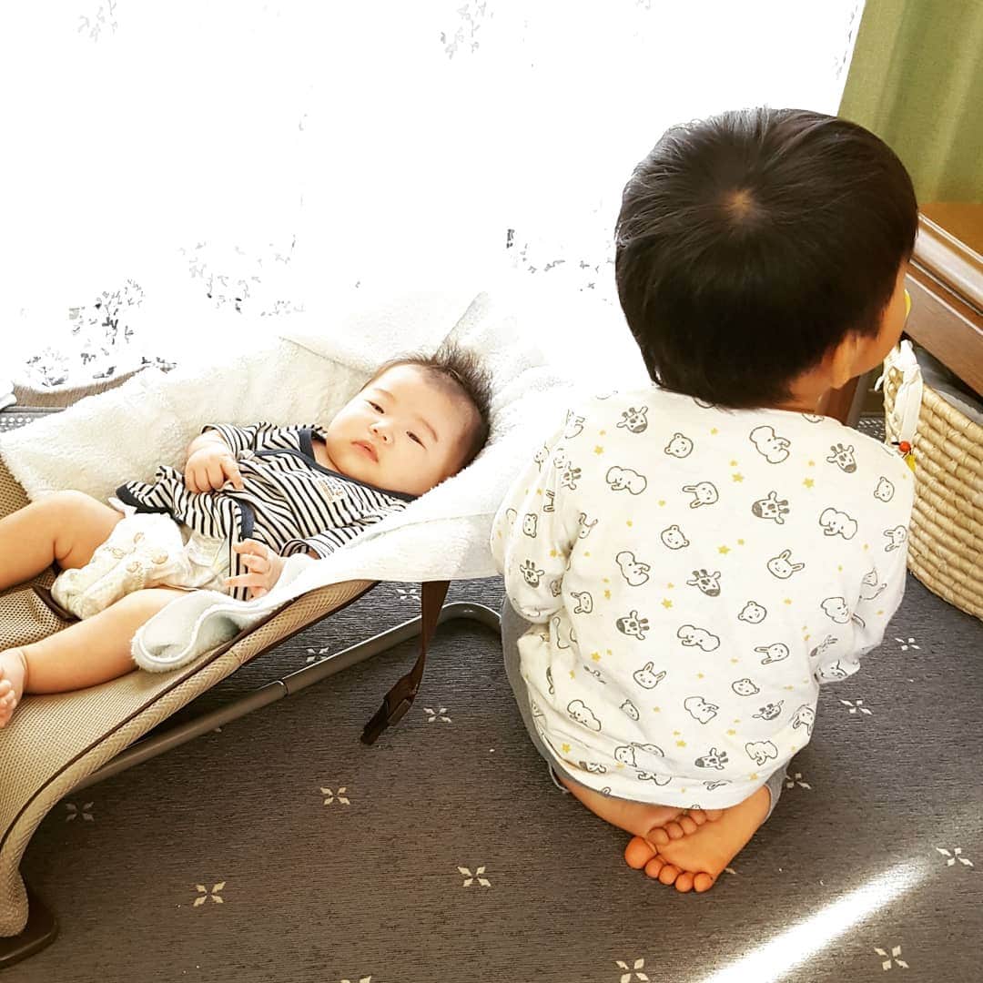 sr_ummのインスタグラム：「【飼い主の日常】 ビフファミリー平和な朝です。  だんだん生活も落ち着いて来たので、 そろそろビフ妹をお披露目しに ビフのお墓参りに行かないとなあ。  しかし寝不足と疲労が限界！つらーい！ ファイト、自分。  ちょっと広告。 #mavenwatches #マベン#マベンウォッチ#腕時計#時計#手元倶楽部　http://mavenwatches.jp/　クーポンコード『sr_umm』」