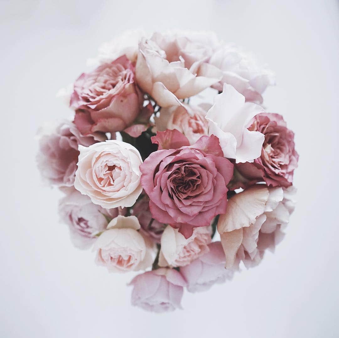 市川渚さんのインスタグラム写真 - (市川渚Instagram)「💐 . 昨晩の結婚式会場に飾られていたローズを頂いてきたので、華やかなお花を眺めつつ余韻に浸る雨の日曜日。帰宅後、ちゃんと水揚げしたらシャキッとしてくれて嬉しい🌹」6月10日 11時27分 - nagiko