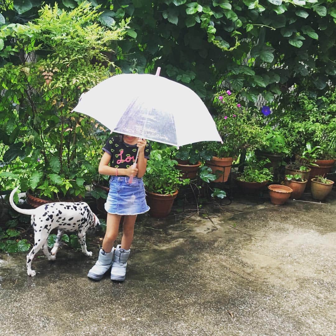 高岡早紀 さんのインスタグラム写真 - (高岡早紀 Instagram)「雨… でも楽しいっ。。 #dalmatian #早紀おウチガーデニング」6月10日 14時11分 - saki_takaoka