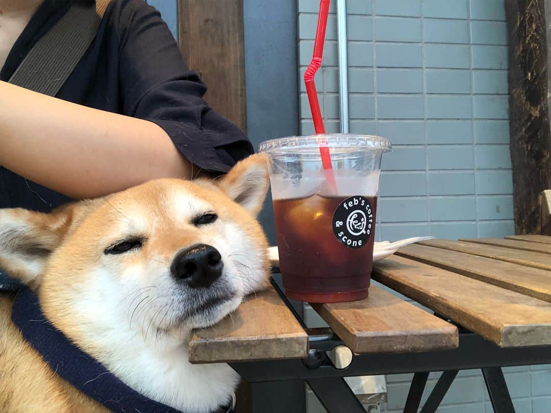 くるみのグルメインスタ