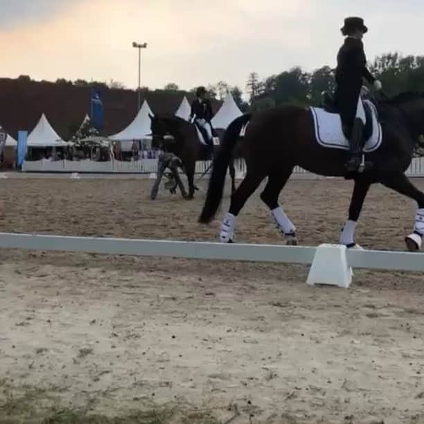 Nina Neuerのインスタグラム：「Dari und ich hatten leider kein so ganz erfreuliches Wochenende bei dieser Etappe des „Piaff-Förderpreises“. Wir sind noch in unserem Prozess alles zu lernen und sicher durch einen Grand Prix zu kommen 🐎 durch viele Fehler konnten wir nicht überzeugen wie wir uns das gewünscht haben ABER ich bin super stolz auf uns und freue mich sehr bei so einem tollen und besonderen Turnier reiten zu dürfen! Wir starten mit viel Motivation in unser Training in den nächsten Wochen! 💪🏼 #headupwingsout」