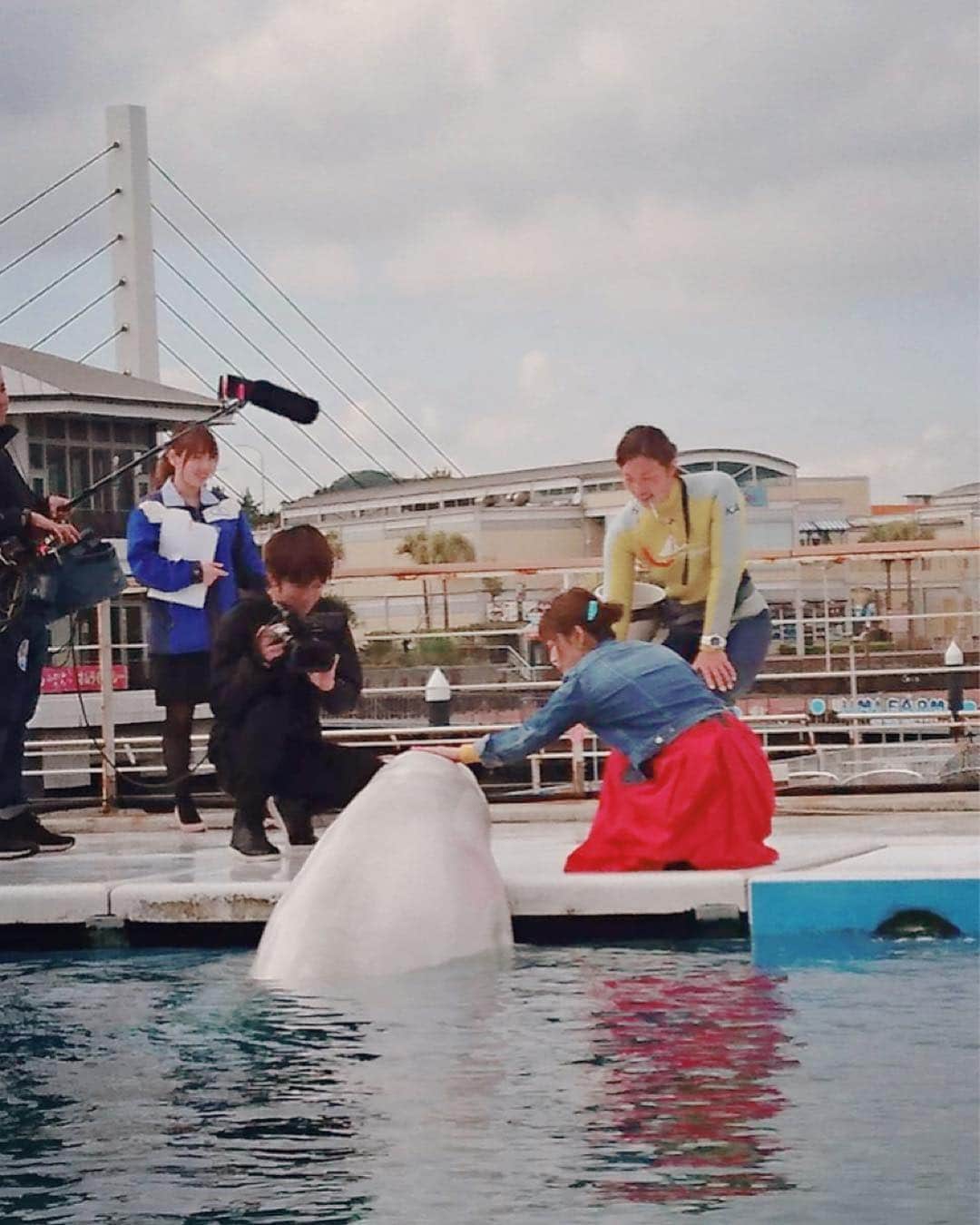 井口裕香さんのインスタグラム写真 - (井口裕香Instagram)「水族館行きたいなぁ。。 #八景島シーパラダイス #LisAniNAVI オフショット🐬💓」6月11日 14時09分 - ooo31_iguchiyuka_31ooo
