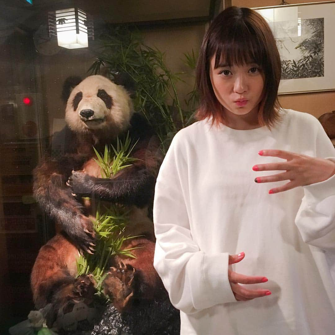 大原櫻子さんのインスタグラム写真 - (大原櫻子Instagram)「パンダの剥製🐼」6月11日 14時20分 - sakurako_ohara