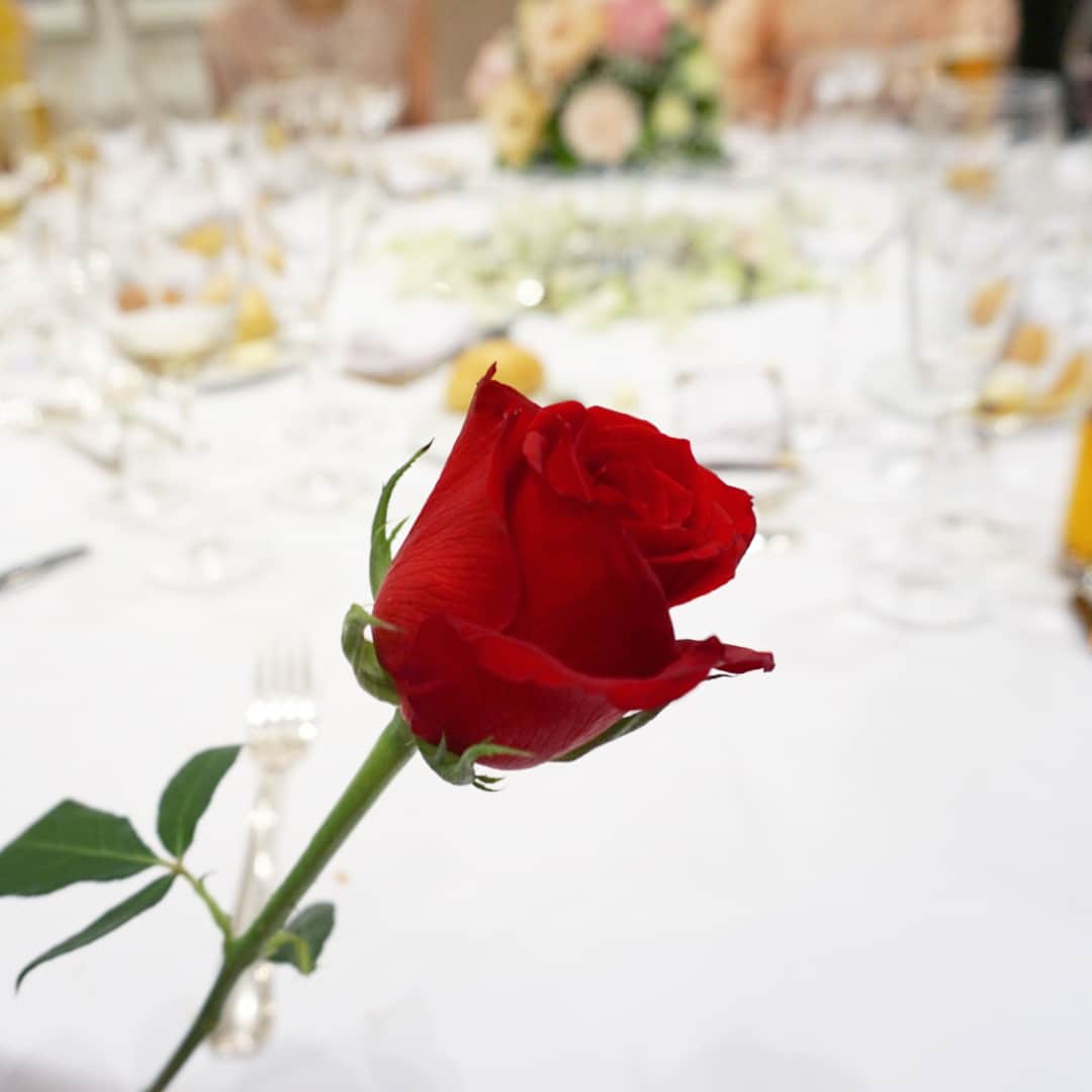 のインスタグラム：「大好きなお友達 @reinanozu の結婚式でした💍 ・ 表参道のThe Stringsで行われた、とってもおしゃれな式✨いつもニコニコでハッピーオーラ全開な礼奈さん、いつにも増して幸せそうで、こちらまで幸せな気持ちに😍胸がいっぱいで苦しかった😍 ・ 旦那さんにバラの花を手渡すうちの1人として預かったバラの花🌹テーブル内で「バチェラーだ！」と盛り上がりました😆笑 バラの花束は、最終的には礼奈さんの手に❤️ ・ レースのウエディングドレスもコーラルピンクのカラードレスも、とってもキレイでした👰 ・ 本当におめでとうございます❤️ ・ #STRINGS #表参道 #結婚式 #wedding #weddingparty #rose #バラの花 #stringsomotesando #野津礼奈」