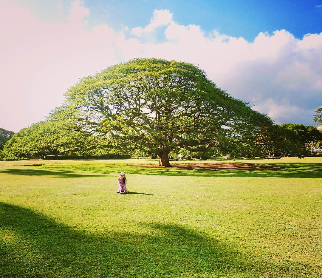 大山恵理乃さんのインスタグラム写真 - (大山恵理乃Instagram)「＊ #ハワイ #オアフ島 #モアナルアガーデン  #この木なんの木  #日立の樹 ・ ・ 閉園間際に行けば貸切状態 ・ ・ #モンキーポッド  #ねむの木  #hawaii  #하와이  #moanaluagardens」6月11日 15時53分 - erino_ohyama
