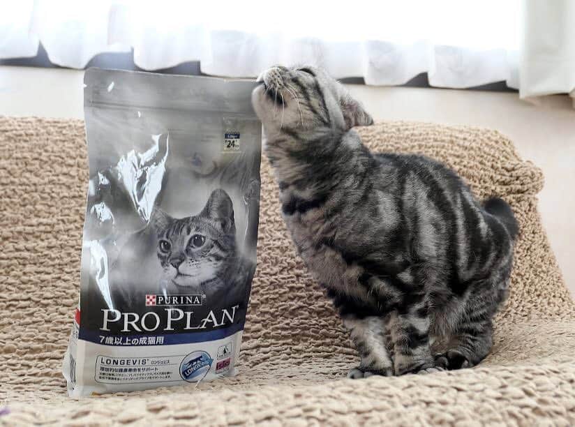 Purina Pro Plan Japanのインスタグラム