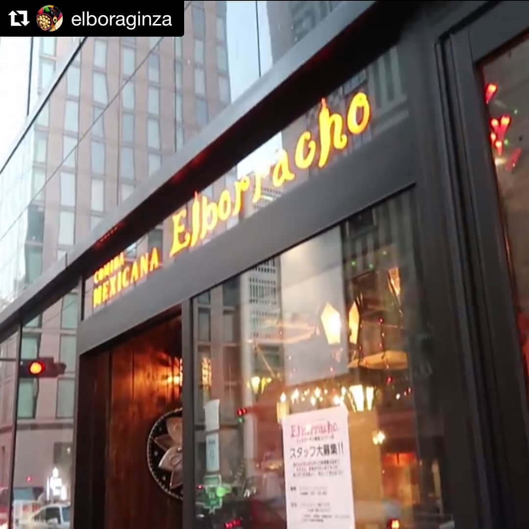 エルボラーチョのグルメインスタ