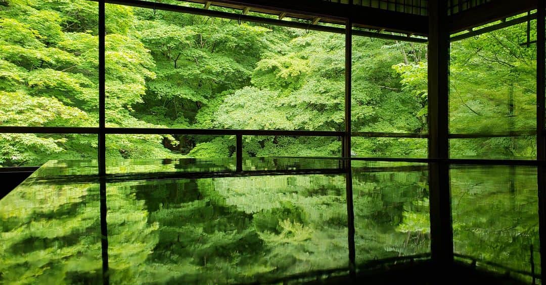 比嘉愛未さんのインスタグラム写真 - (比嘉愛未Instagram)「「瑠璃光院」 梅雨さめに濡れる青紅葉を前に しばらく動けなかった。。 日本はなんて美しいんだろう🌱✨ #瑠璃光院 #梅雨の新緑 #心の浄化 #京都さんぽ」6月12日 10時33分 - higa_manami