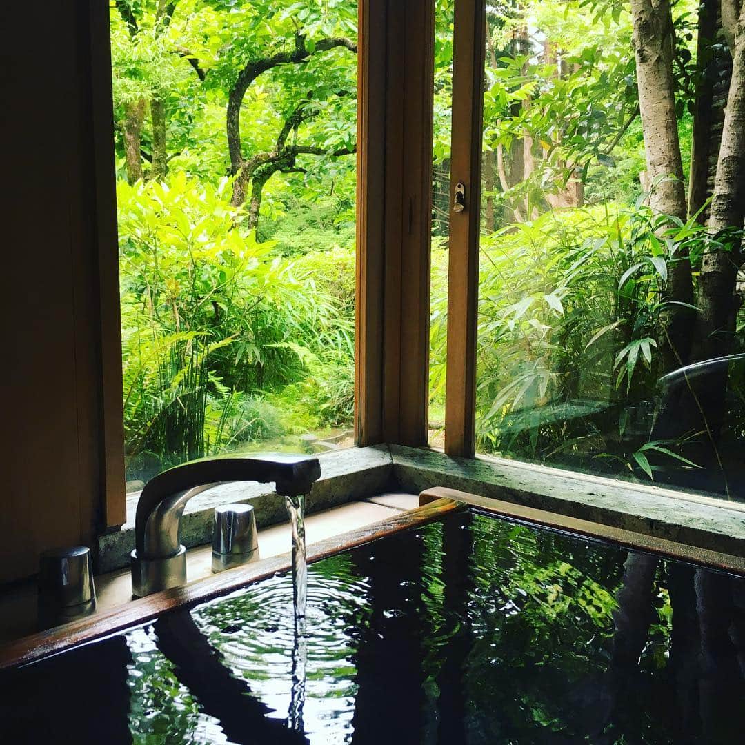 志摩有子さんのインスタグラム写真 - (志摩有子Instagram)「湯河原は晴れ。昨夜はぐっすり。朝露に濡れた鮮やかな緑を眺めながらの朝風呂タイム。 #湯河原 #温泉 #定宿 #朝風呂 #石葉」6月12日 9時43分 - ariko418