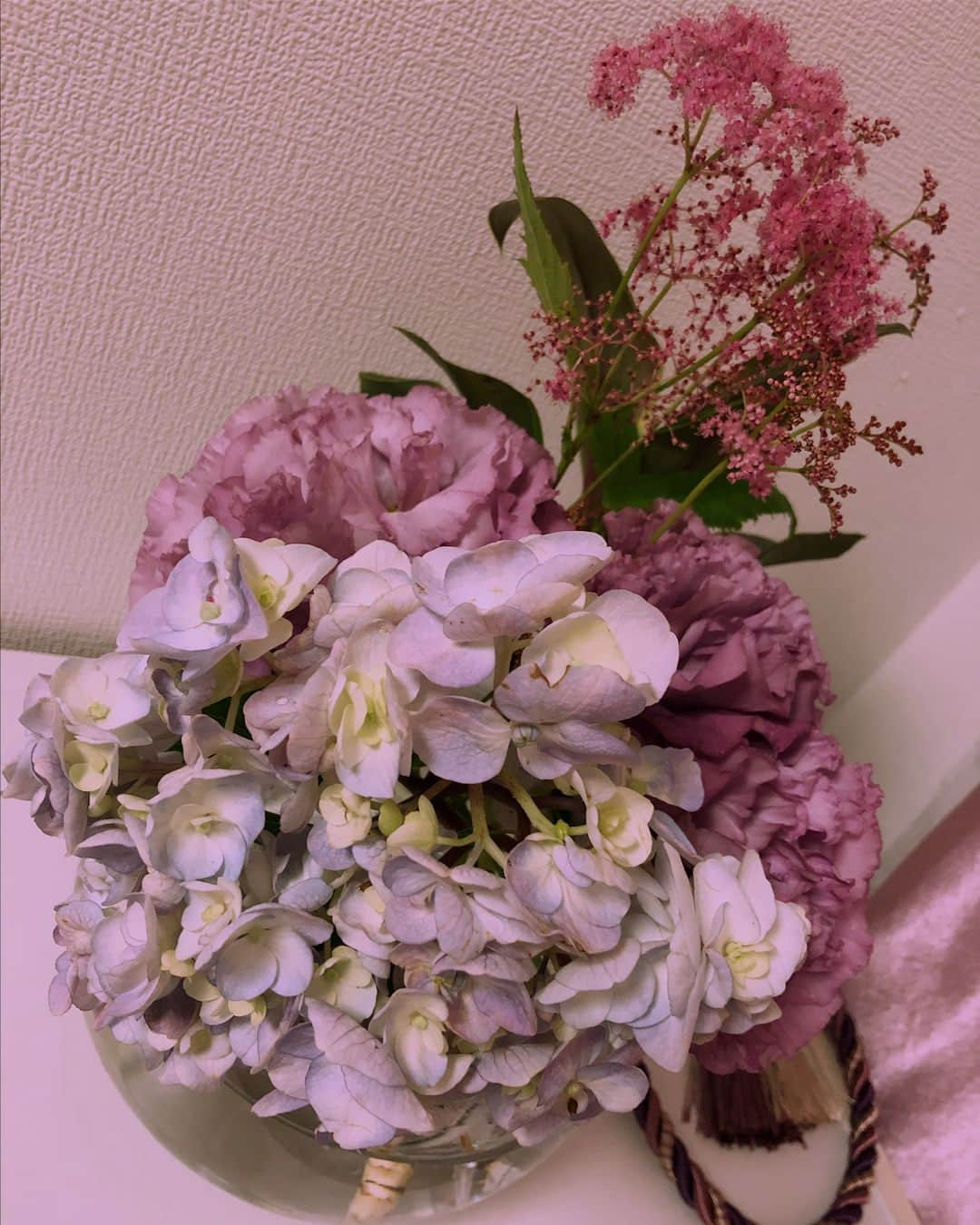 與坂唯のインスタグラム：「my room new flowers 💐  #お花 #好き #癒し #にゃん #ポエムちゃん🐩 #💓」