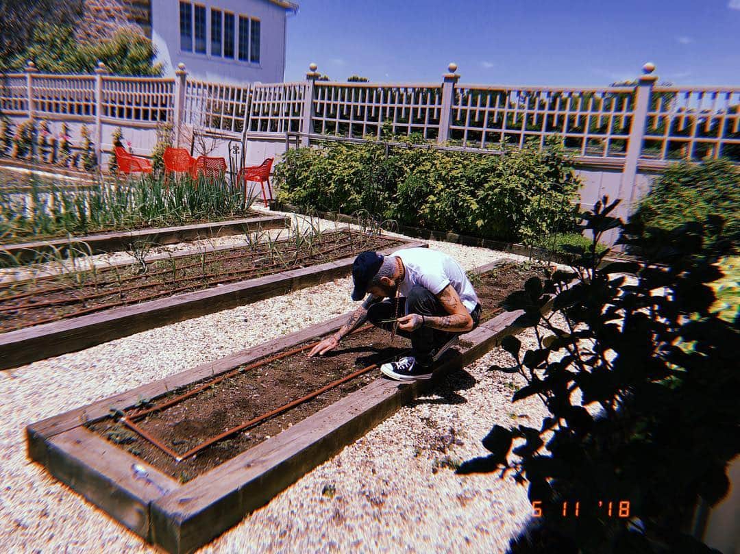 ゼイン・マリクのインスタグラム：「🥕」