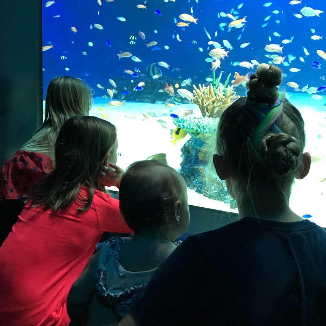 ブラッド・エルドレッドのグルメインスタ